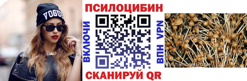 KRAKEN как войти  Катав-Ивановск  Галлюциногенные грибы Magic Shrooms  наркотики 